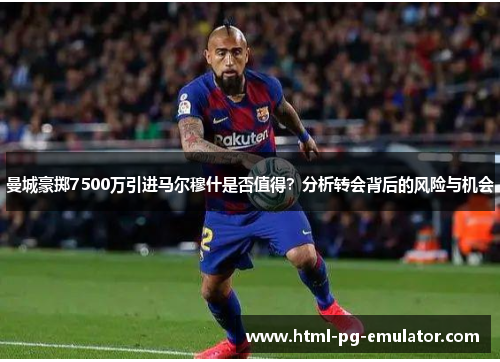 曼城豪掷7500万引进马尔穆什是否值得？分析转会背后的风险与机会