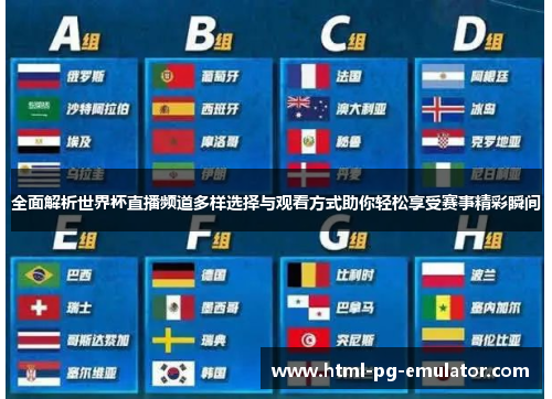 全面解析世界杯直播频道多样选择与观看方式助你轻松享受赛事精彩瞬间