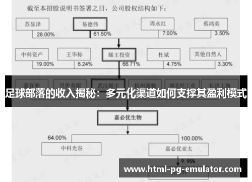 足球部落的收入揭秘：多元化渠道如何支撑其盈利模式