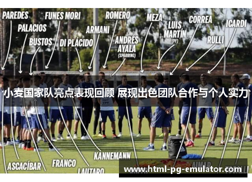 小麦国家队亮点表现回顾 展现出色团队合作与个人实力