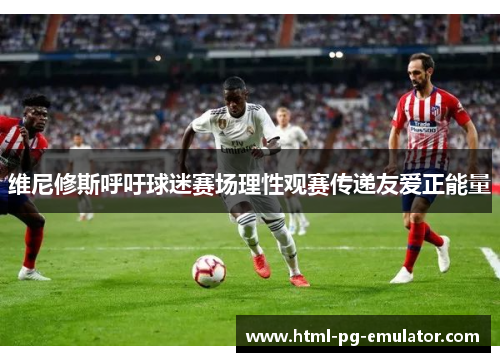 维尼修斯呼吁球迷赛场理性观赛传递友爱正能量