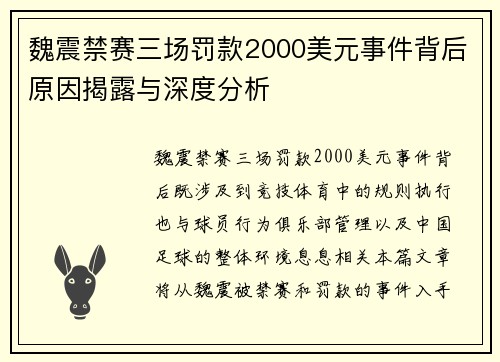 魏震禁赛三场罚款2000美元事件背后原因揭露与深度分析 魏震禁赛三场罚款2000美元事件背后原因揭露与深度分析