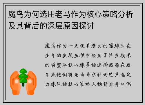 魔鸟为何选用老马作为核心策略分析及其背后的深层原因探讨